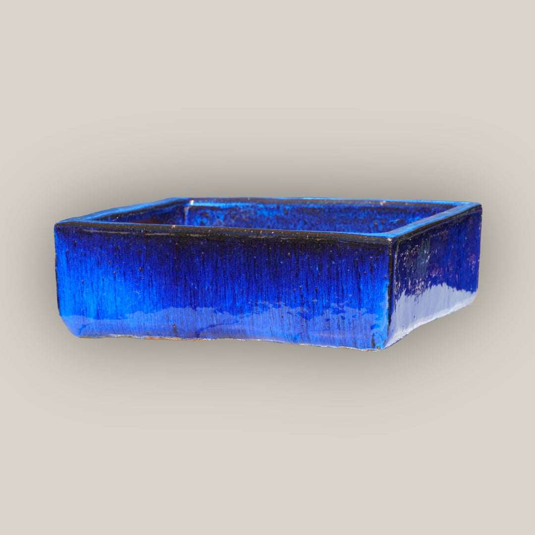 Cobalt Blue Low Square Ceramic Planter - Free Shipping