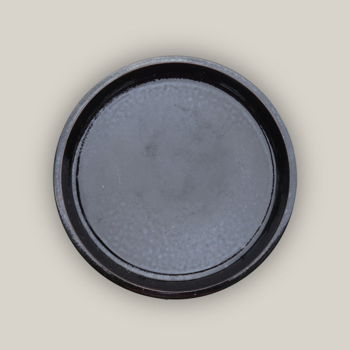 Glossy Black Round Ceramic Saucer - Lion - Ten Thousand Pots - top