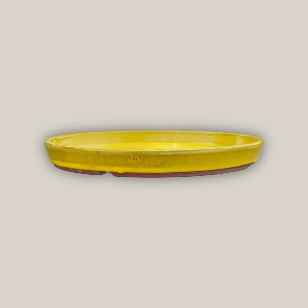 Round | Yellow Ceramic Plant Saucer | High Fired Ecofriendly Clay - Sizes 8"-19.5" - Free Shipping