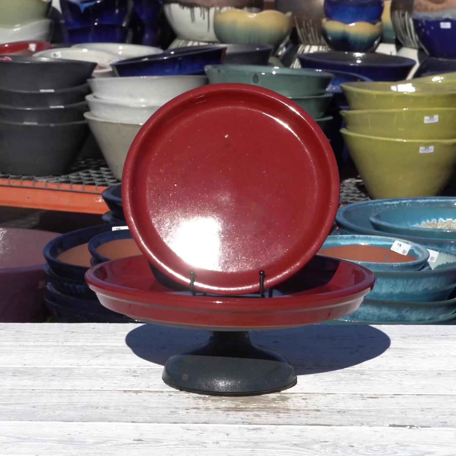 Chili Red Round Ceramic Saucer - Lion - Ten Thousand Pots - video