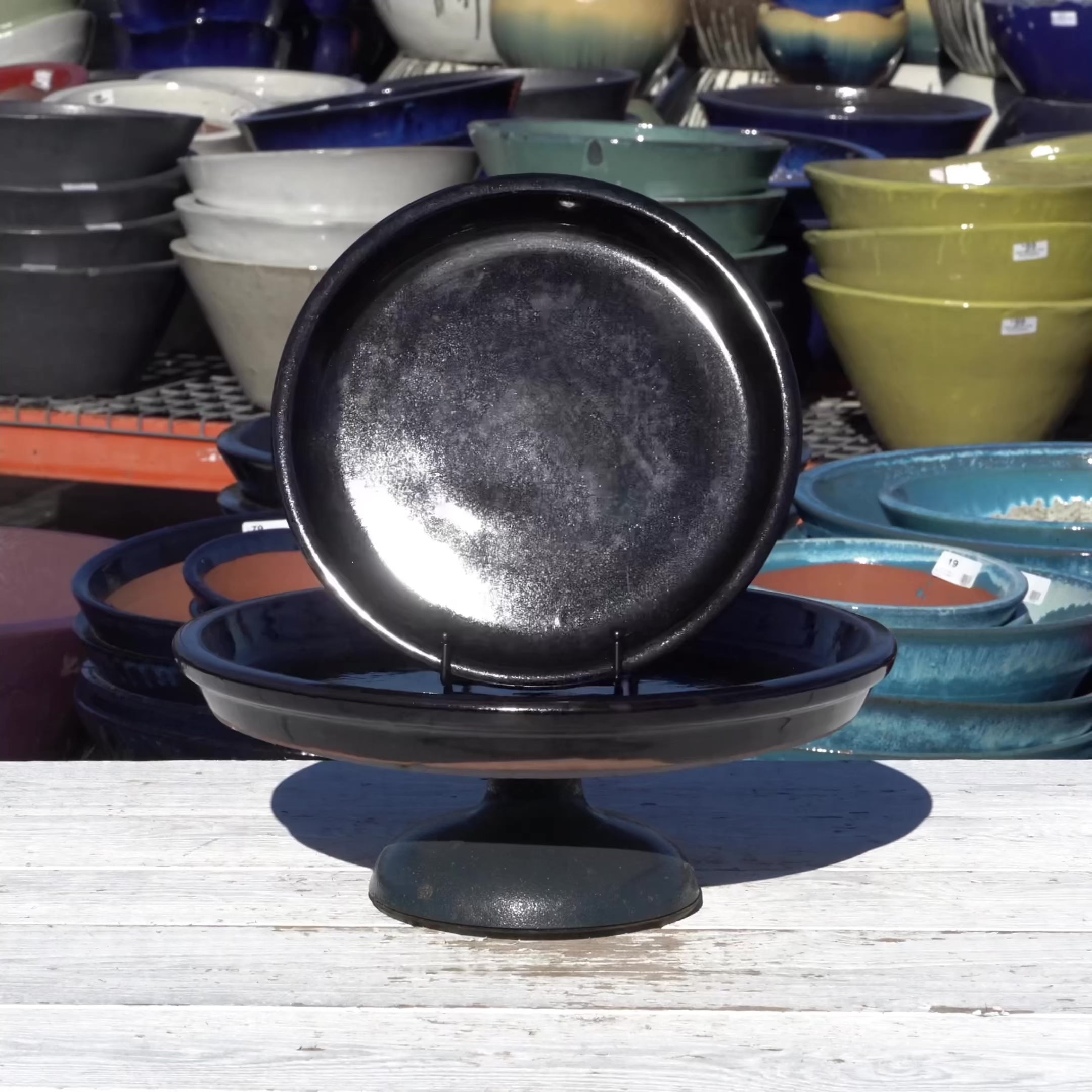 Glossy Black Round Ceramic Saucer - Lion - Ten Thousand Pots - video