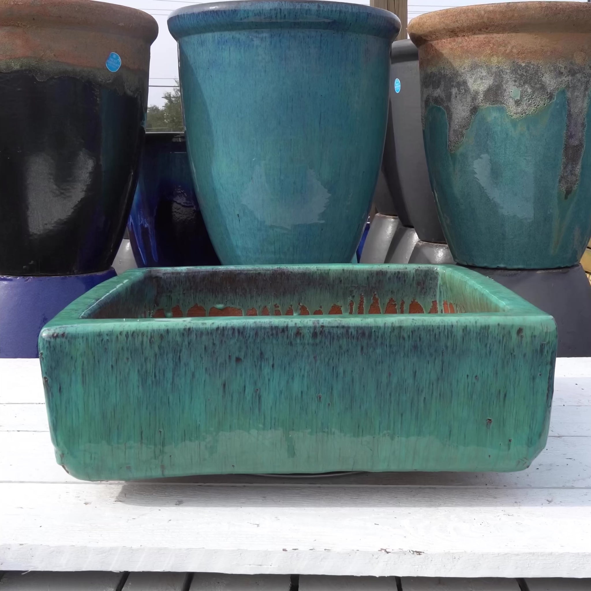 Aqua Low Square Ceramic Planter - Ten Thousand Pots video