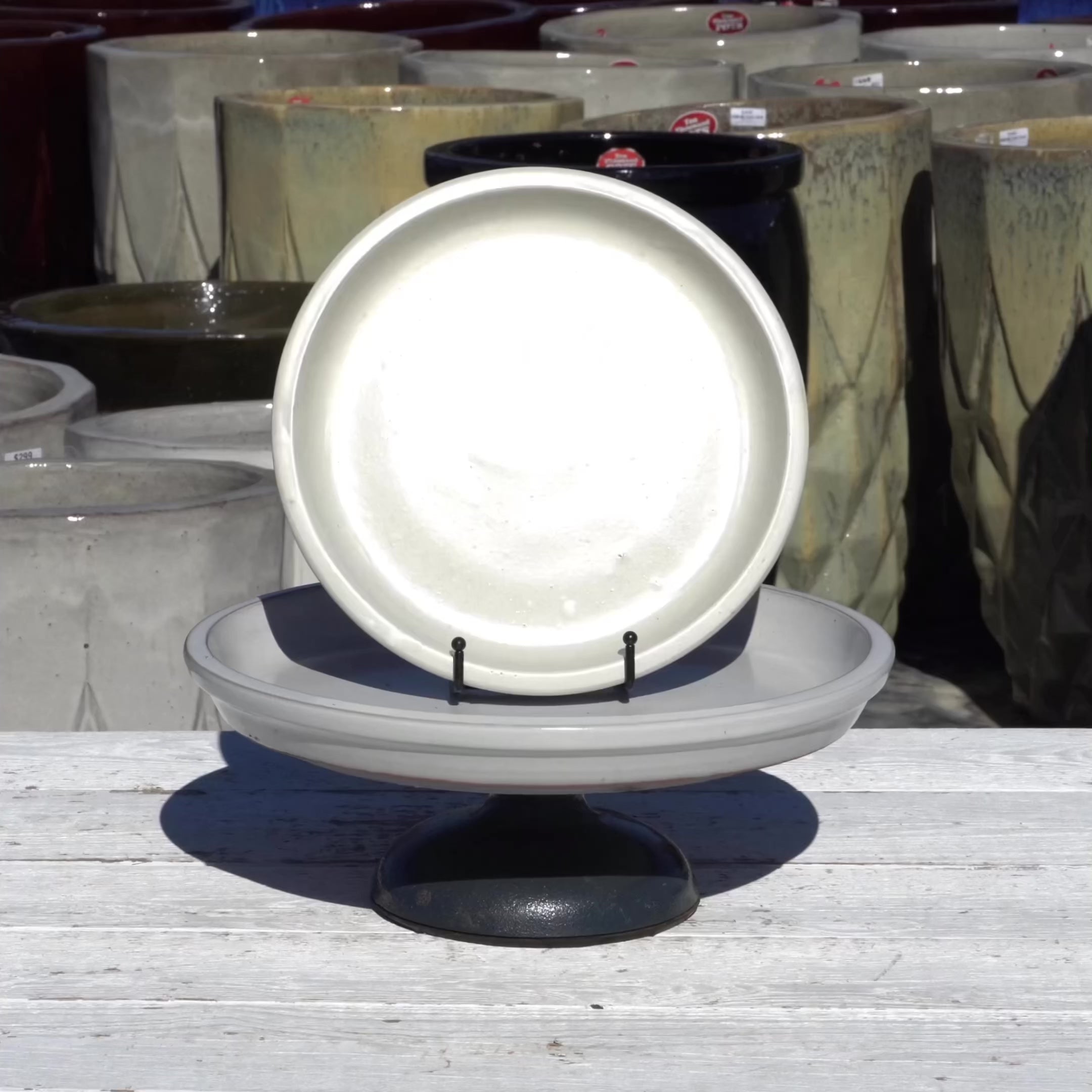 White Round Ceramic Saucer - Lion - Ten Thousand Pots - video