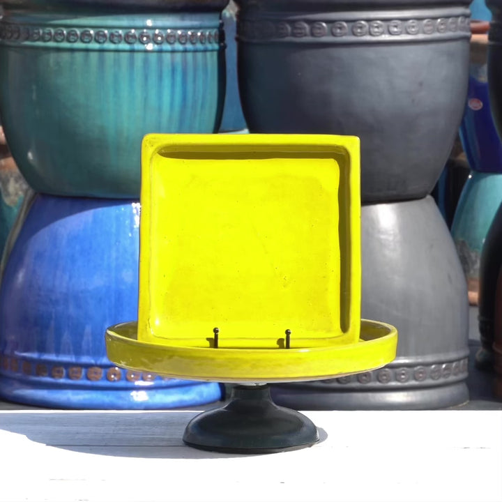 Yellow Square Planter Saucer - Ten Thousand Pots - video