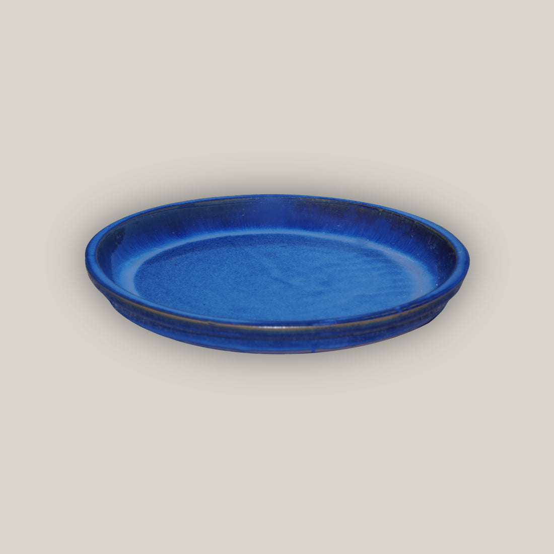 Blue Round Ceramic Saucer - Lion - Ten Thousand Pots - 1