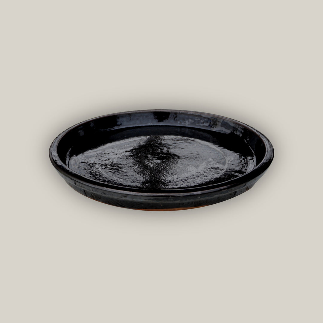 Glossy Black Round Ceramic Saucer - Lion - Ten Thousand Pots - top