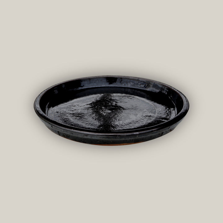 Glossy Black Round Ceramic Saucer - Lion - Ten Thousand Pots - top