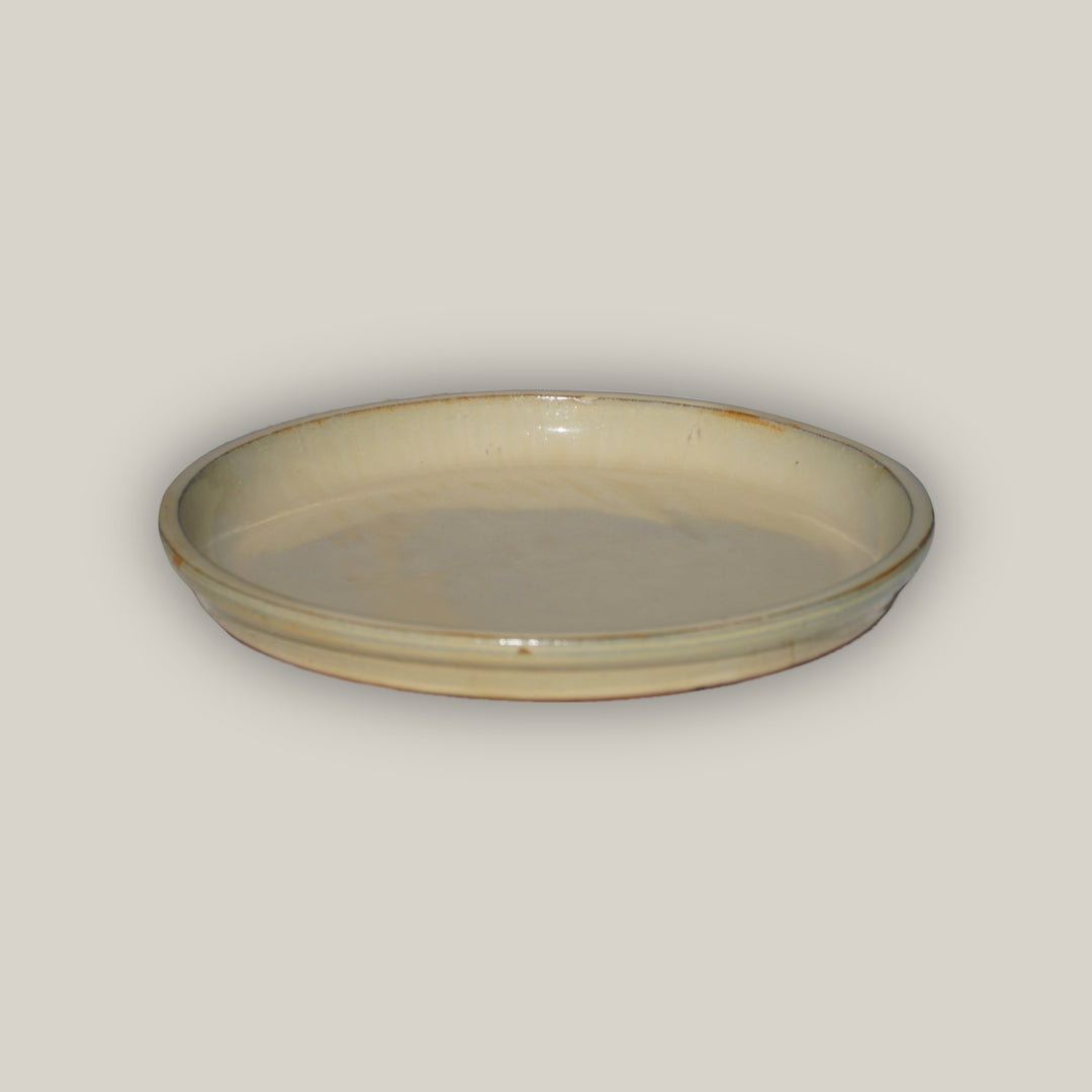 Yellow Cream Round Ceramic Saucer - Lion - Ten Thousand Pots - top view