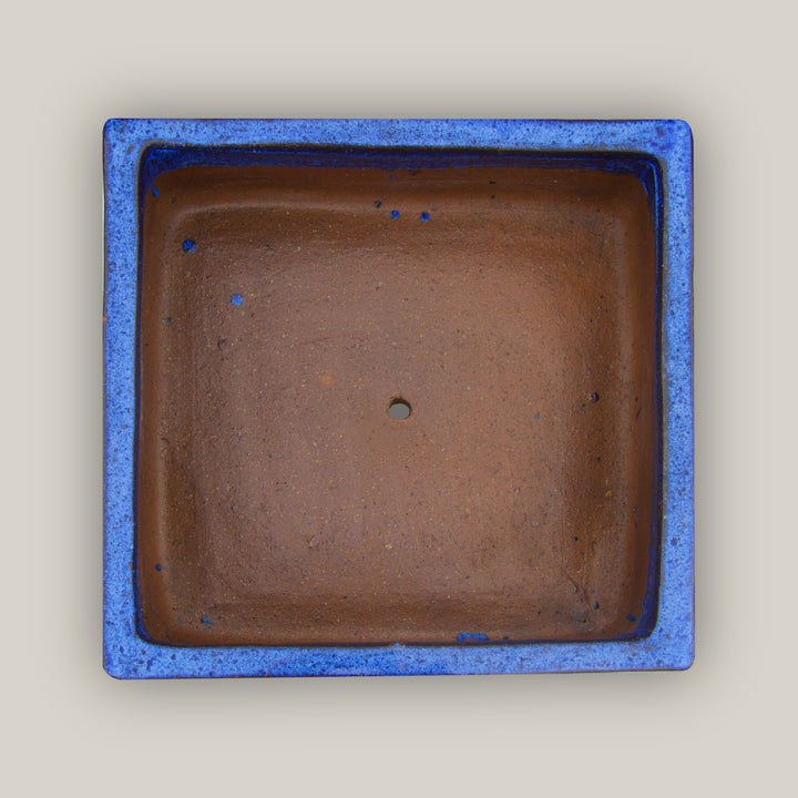 Cobalt Blue Low Square Ceramic Planter
