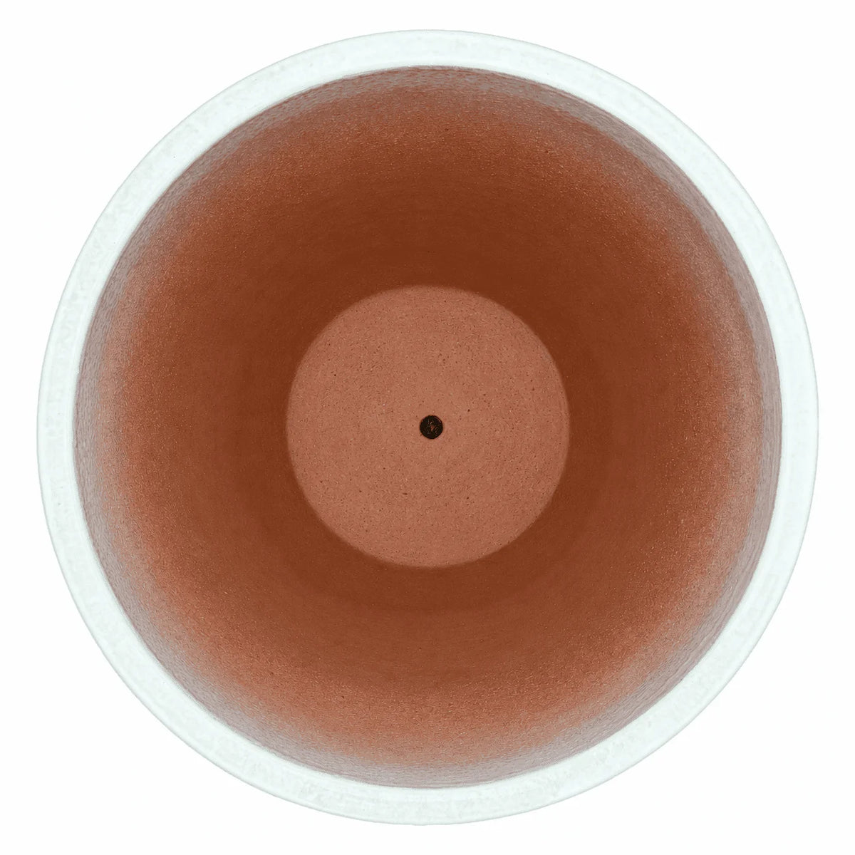Top-down view of a white tapered ceramic egg planter, with a white rim and pale speckled inner walls that fade into a terracotta interior with a raised centre and small drainage hole