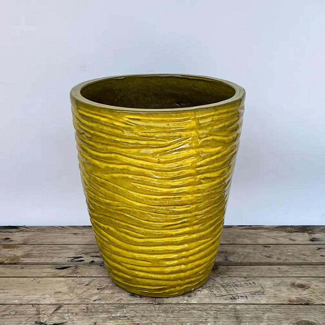 Tiger Stripe Planter Yellow | Ten Thousand Pots
