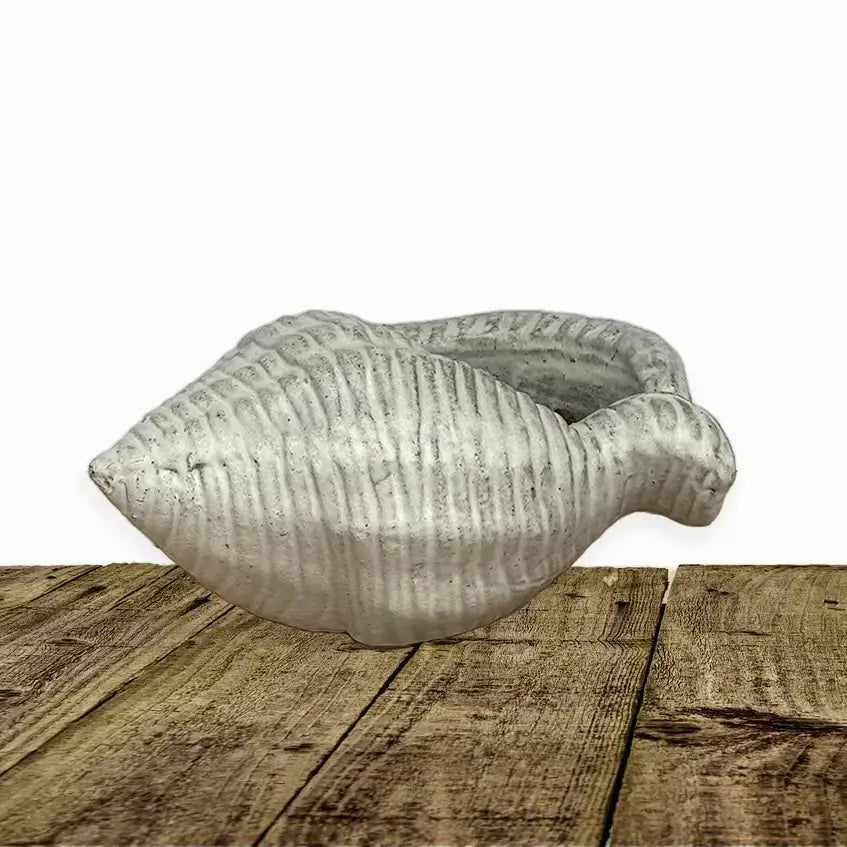 Ceramic Conch Planter | Ten Thousand Pots 