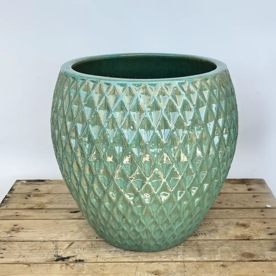 Waffle Low Noodle Pot Green | Ten Thousand Pots
