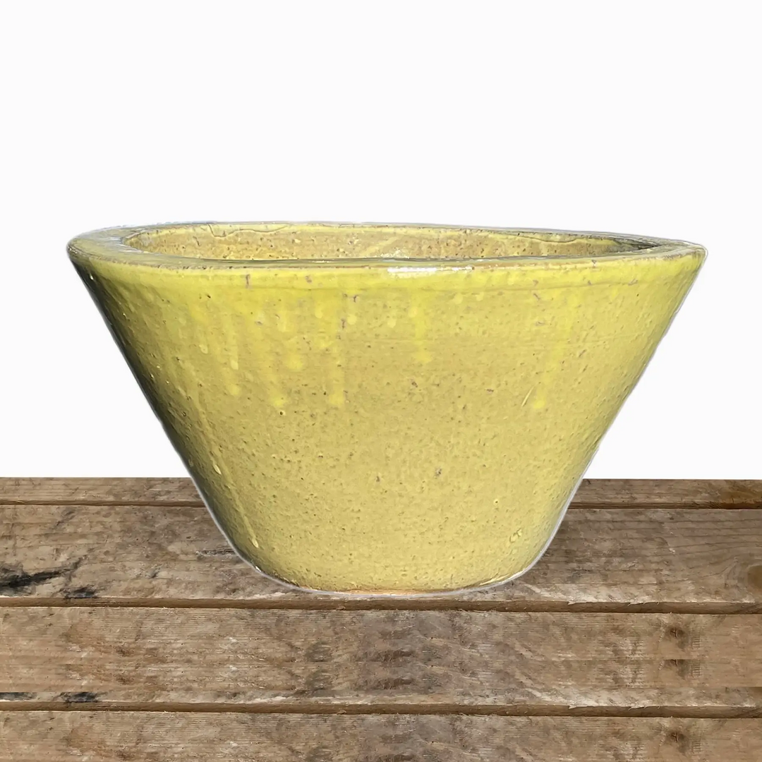 Ceramic Cone Bowl Planter Yellow | Ten Thousand Pots