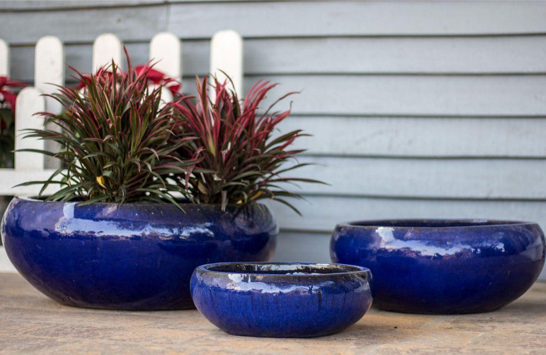 Low Ceramic Bowl Planters | Ten Thousand Pots