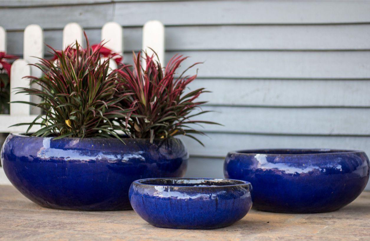large bowl planter pots Low Ceramic Bowl Planter