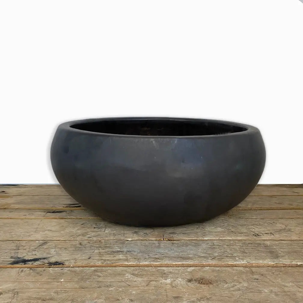 Low Ceramic Bowl Planter Black | Ten Thousand Pots