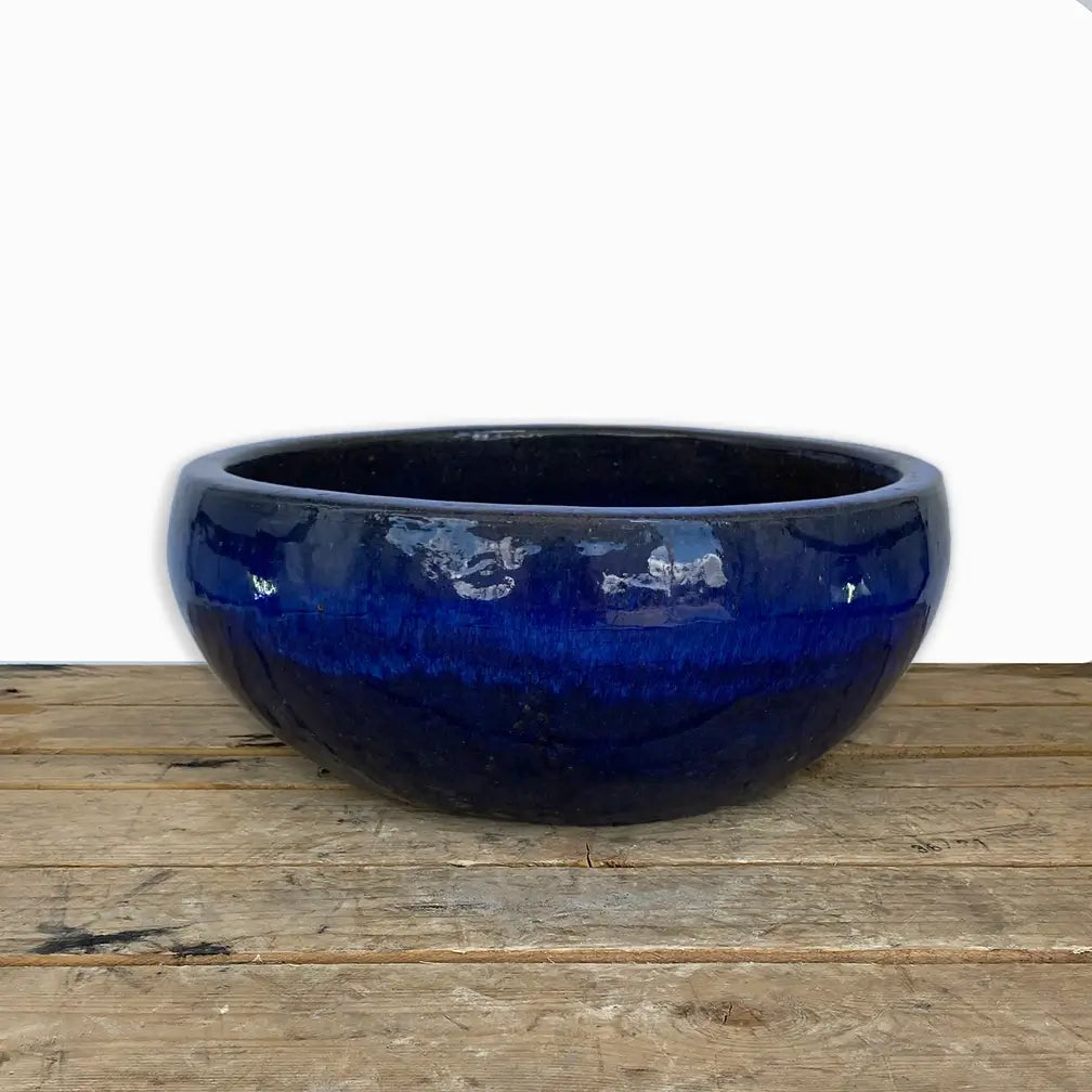 Low Ceramic Bowl Planter Blue | Ten Thousand Pots