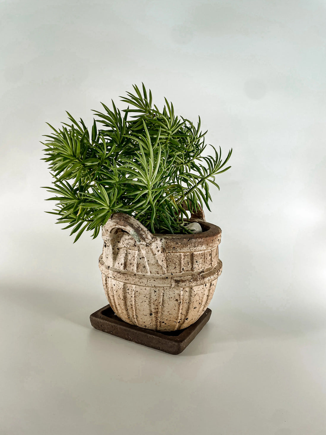 710R32 - Rustic Yellow Ceramic Basket Planter with Handles