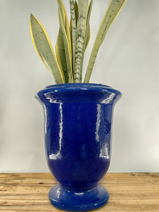 Elegant Ceramic Urn Planter | Ten Thousand Pots