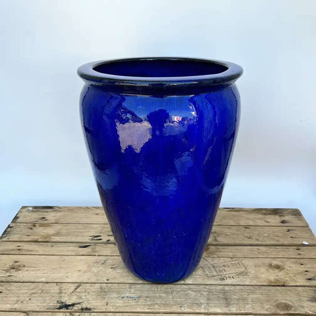 Blue Lion Pavia Ceramic Planter