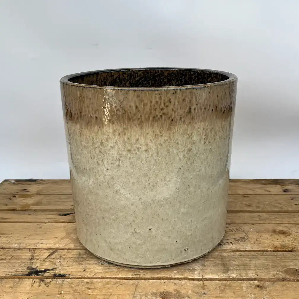 3101L68 - Bronze/Cream Short Cylinder Planter
